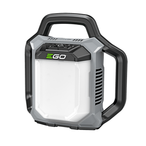 Image of LT0300
