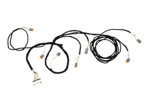 HARNESS,SKYSENSE, RS