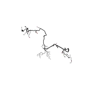 Image of RE318951