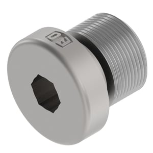 Fitting Plug