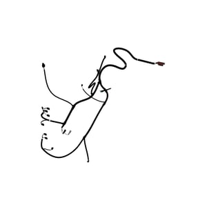 Instrument PNL WRG Harness