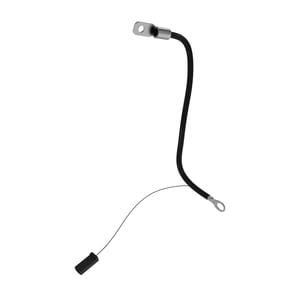 Image of AM148604