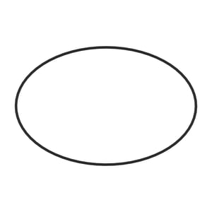 810542000: O-Ring