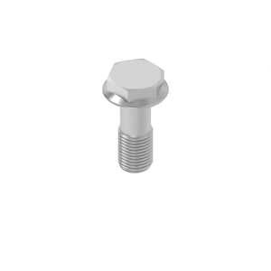 Screw