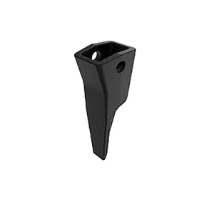 Tooth