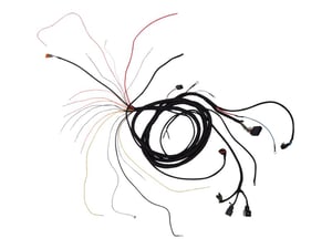 Image of 1001110359