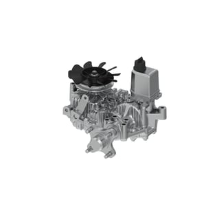 Image of AUC15355