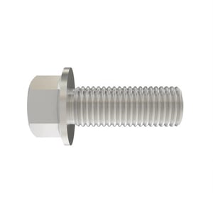 Screw