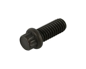 SCREW, PUMP MTG (4-REG'D)