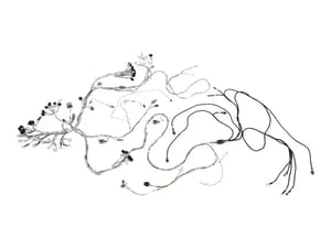 Image of 1001283097