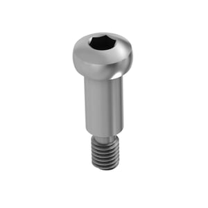Bolt