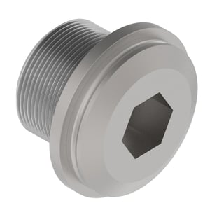 Fitting Plug