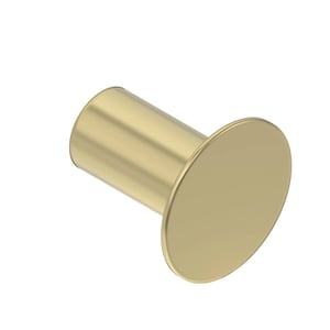 Rivet