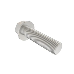Screw