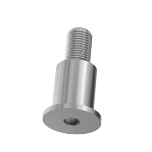 Screw