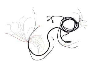 Image of 4923212