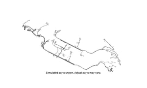 Image of 22951090