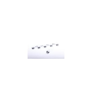 Image of 01999380