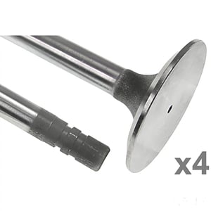 Intake Valve