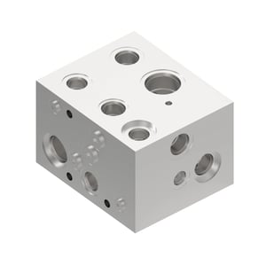 Manifold