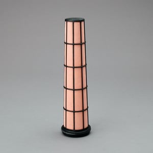 Donaldson P602427 Safety Air Filter