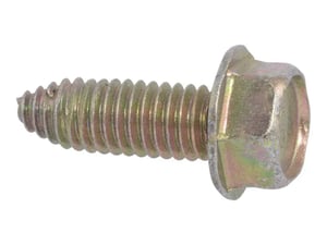 Image of 1001115871
