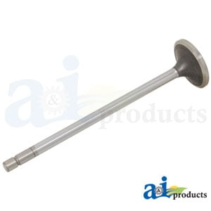 Valve; Intake