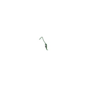 Image of H147789