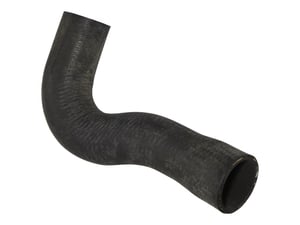 HOSE, LOWER RADIATOR