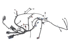 Image of 42716454