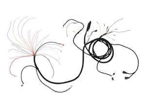 Image of 4923260