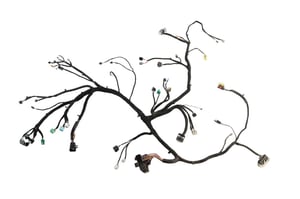 Image of 23396763