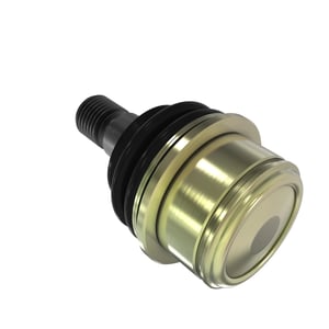 Image of AM146020