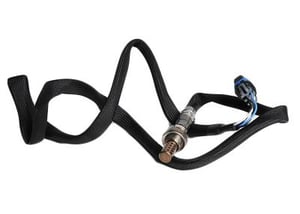Image of 19178936