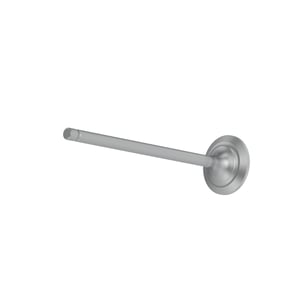 Intake Valve