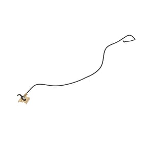 Image of AUC15981