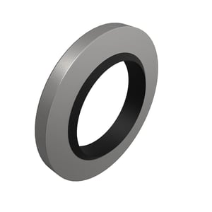 Sealing Washer