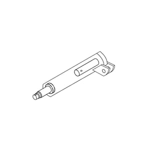 Arm