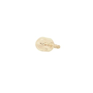 Image of 13591401