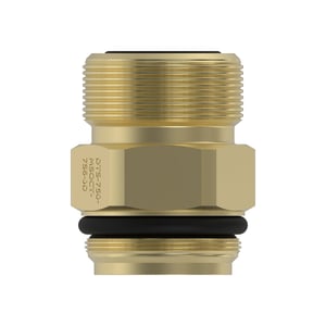 Check Valve