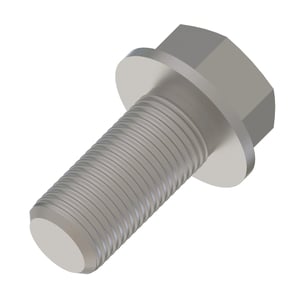 Screw With Washer