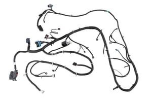 Image of 22899880