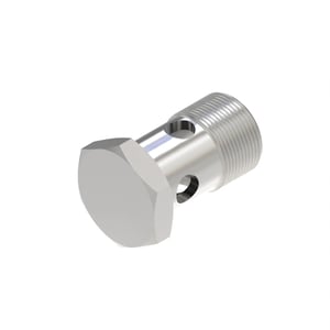 Hollow Screw