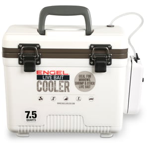 Image of ENGLBC7-N