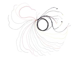 Image of 4921787S