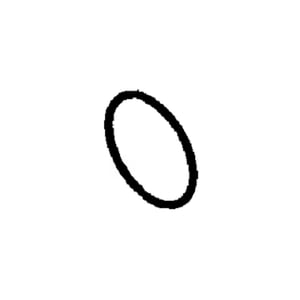 Image of CH13519
