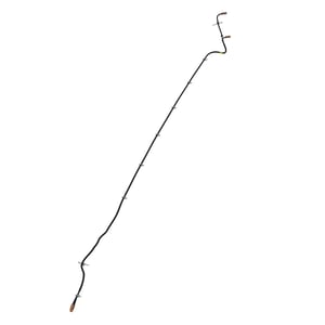 Image of AXE79679