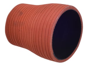 Image of 1001117244