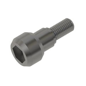 Screw