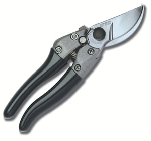 Image of pp60
